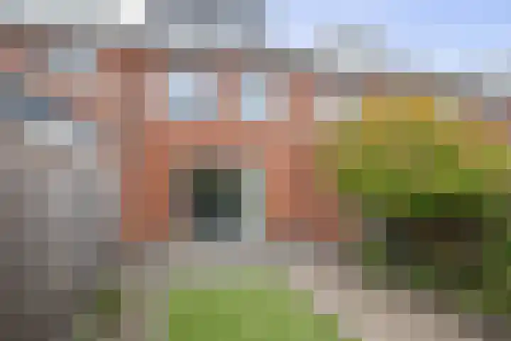 Joop Moesmanpad 7 Rotterdam thumbnail 4
