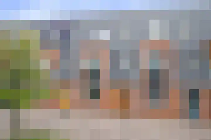 Joop Moesmanpad 7 Rotterdam thumbnail 41