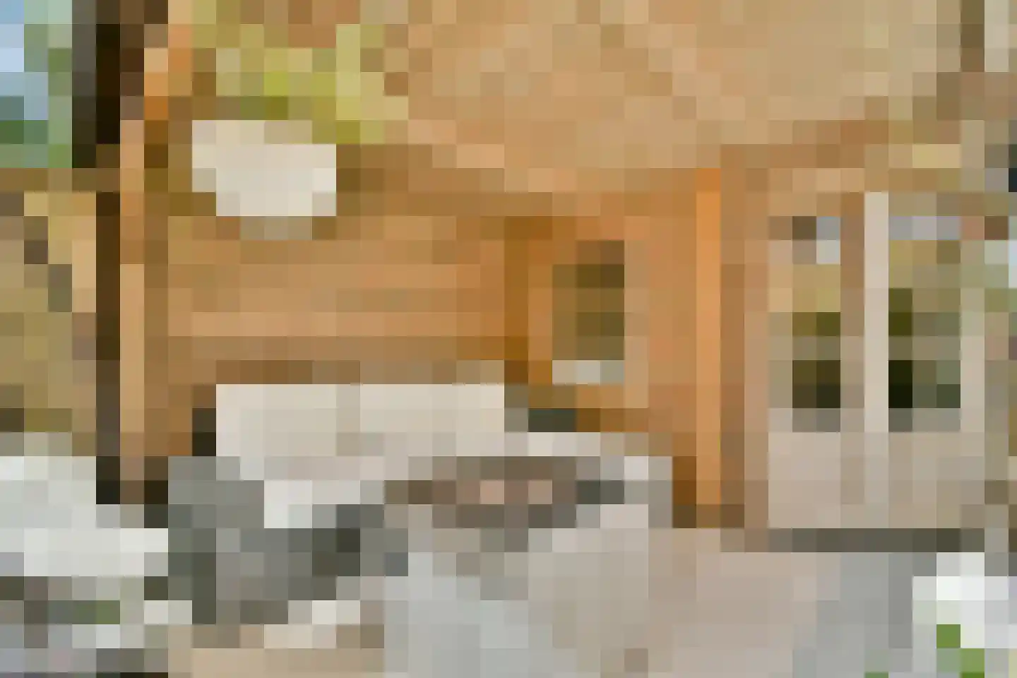 Joop Niemanslaan 5 Diemen thumbnail 21