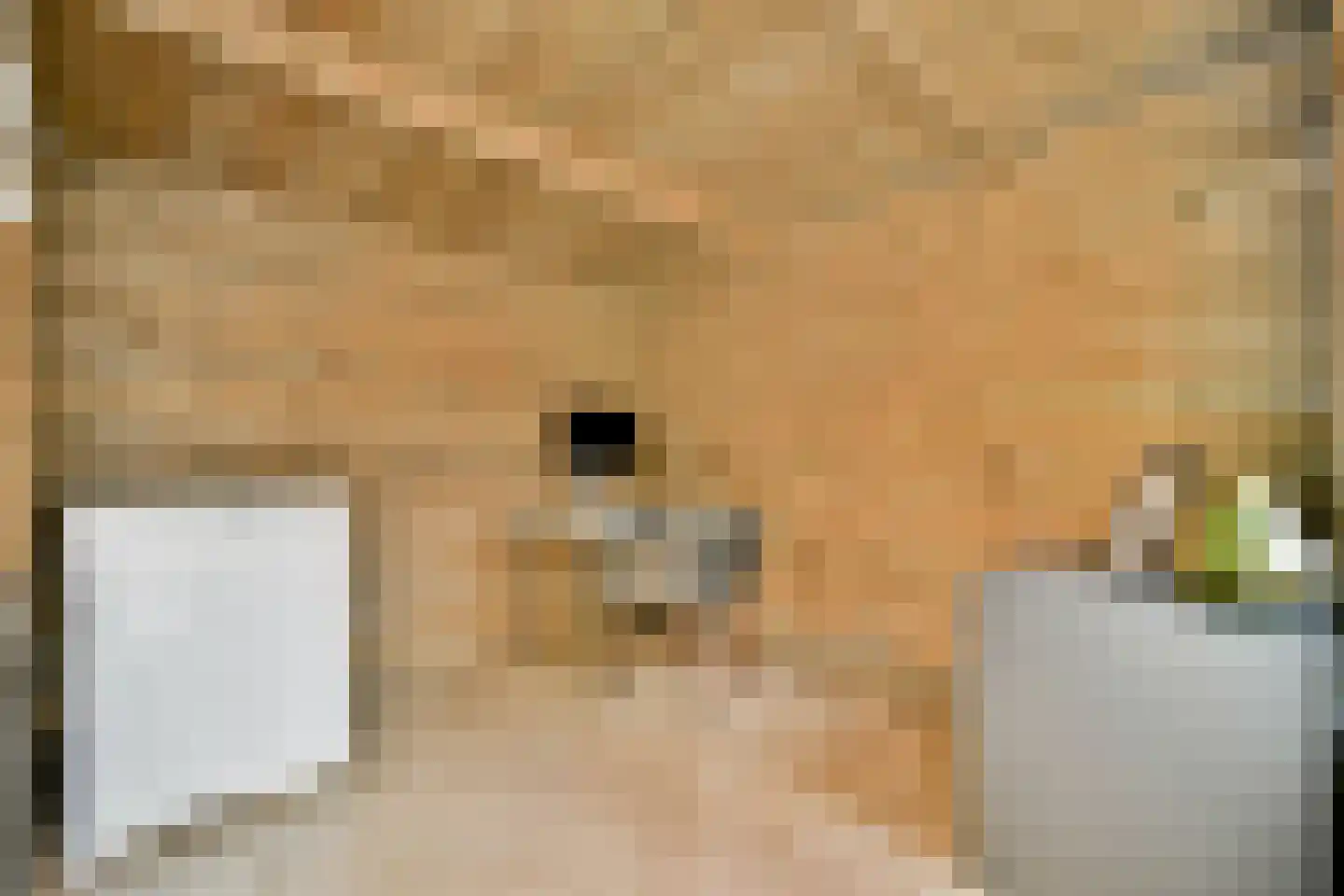 Joop Niemanslaan 5 Diemen thumbnail 22