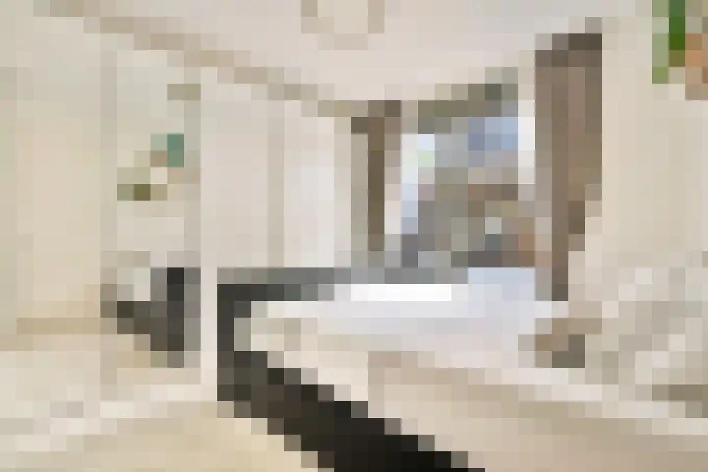 Joop Niemanslaan 5 Diemen thumbnail 25