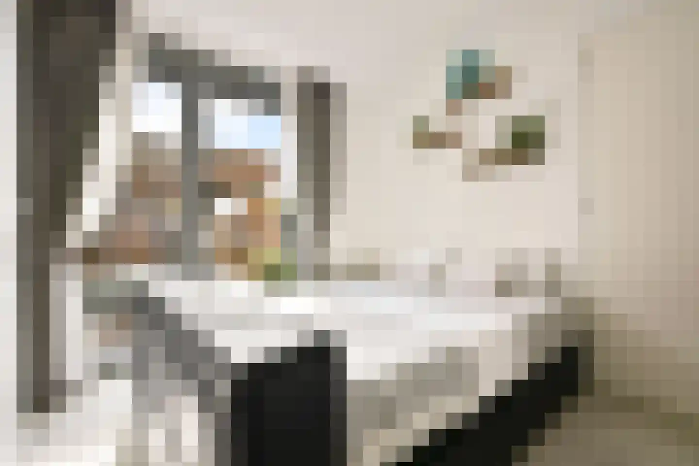 Joop Niemanslaan 5 Diemen thumbnail 26