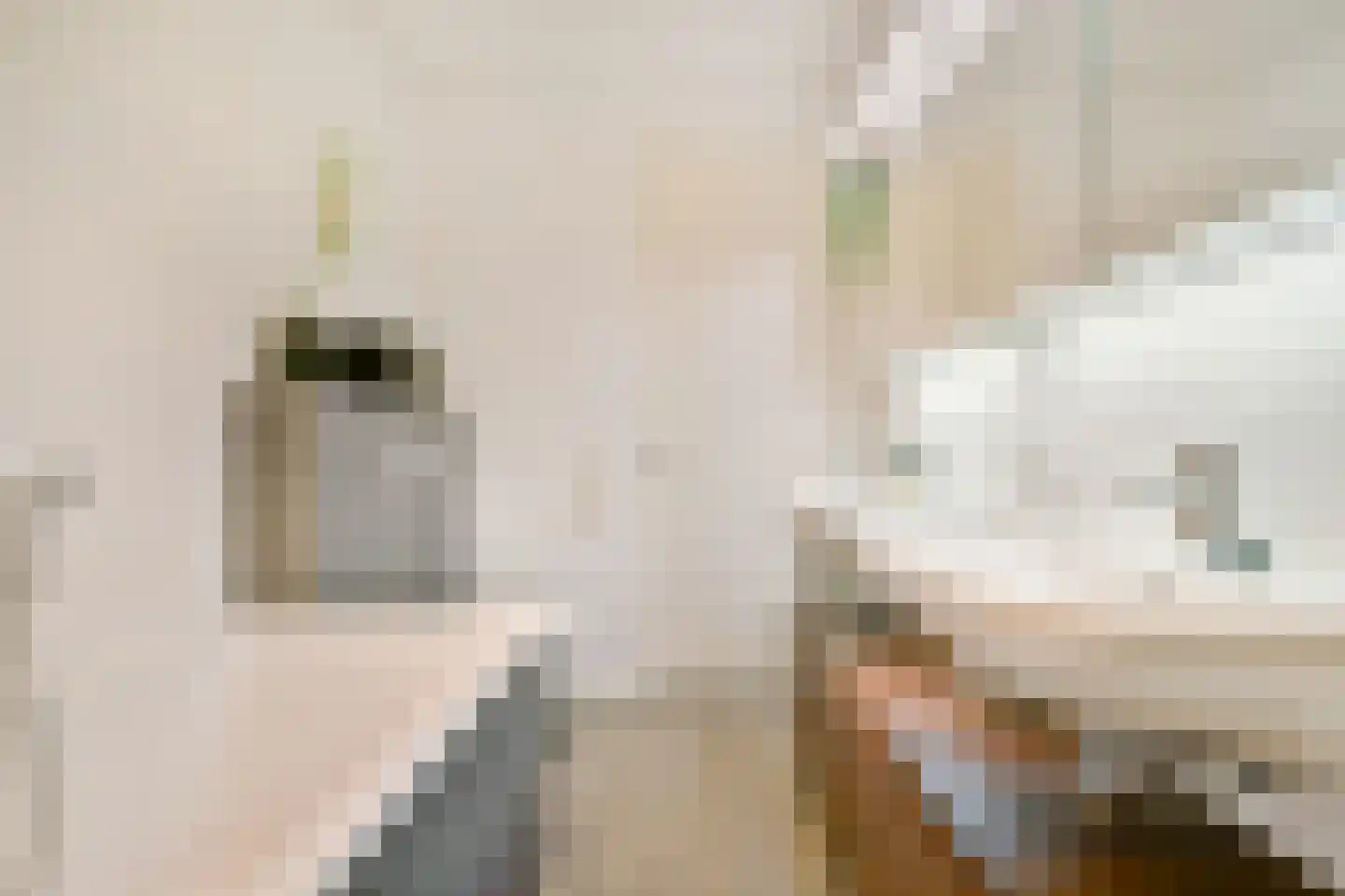 Joop Niemanslaan 5 Diemen thumbnail 30