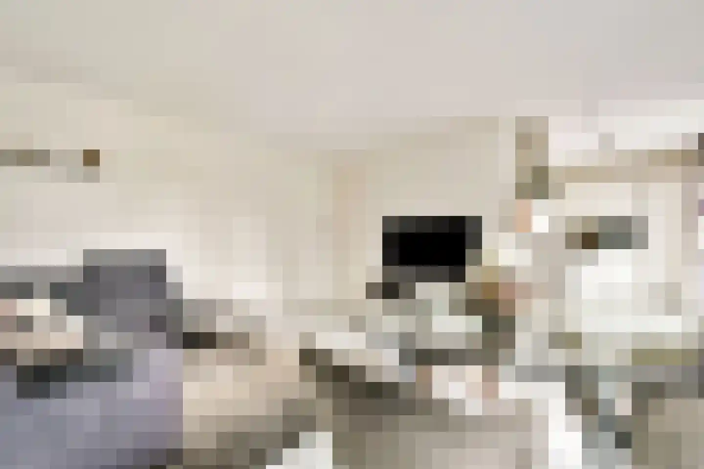 Joop Niemanslaan 5 Diemen thumbnail 4