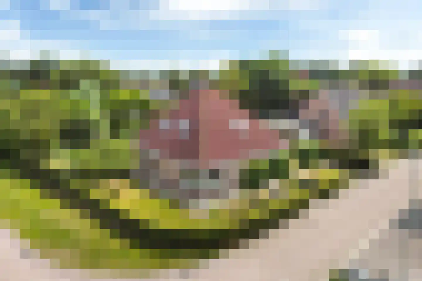 Joop Schweitzerstrjitte 28 Elahuizen