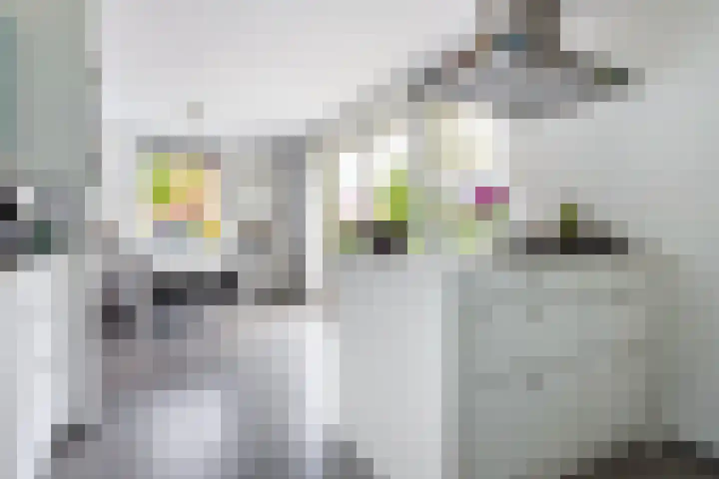 Joop Schweitzerstrjitte 28 Elahuizen thumbnail 15