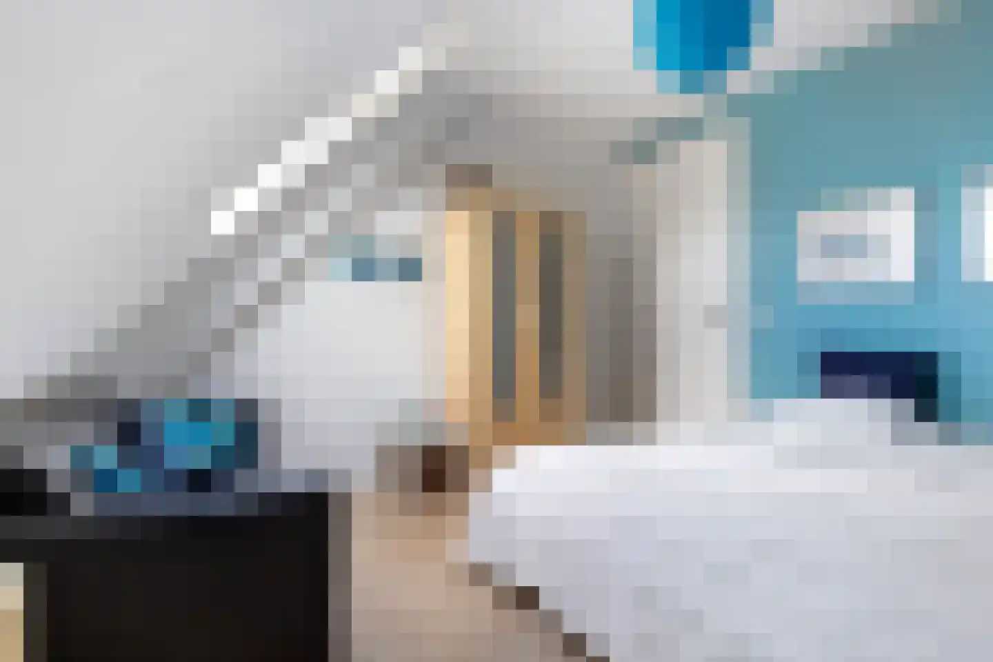 Joop Schweitzerstrjitte 28 Elahuizen thumbnail 26