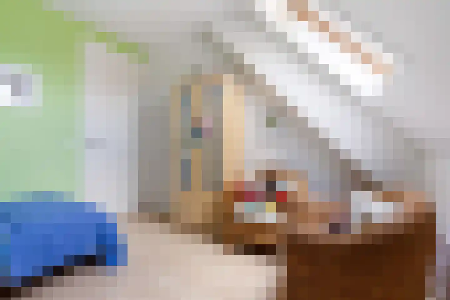 Joop Schweitzerstrjitte 28 Elahuizen thumbnail 29