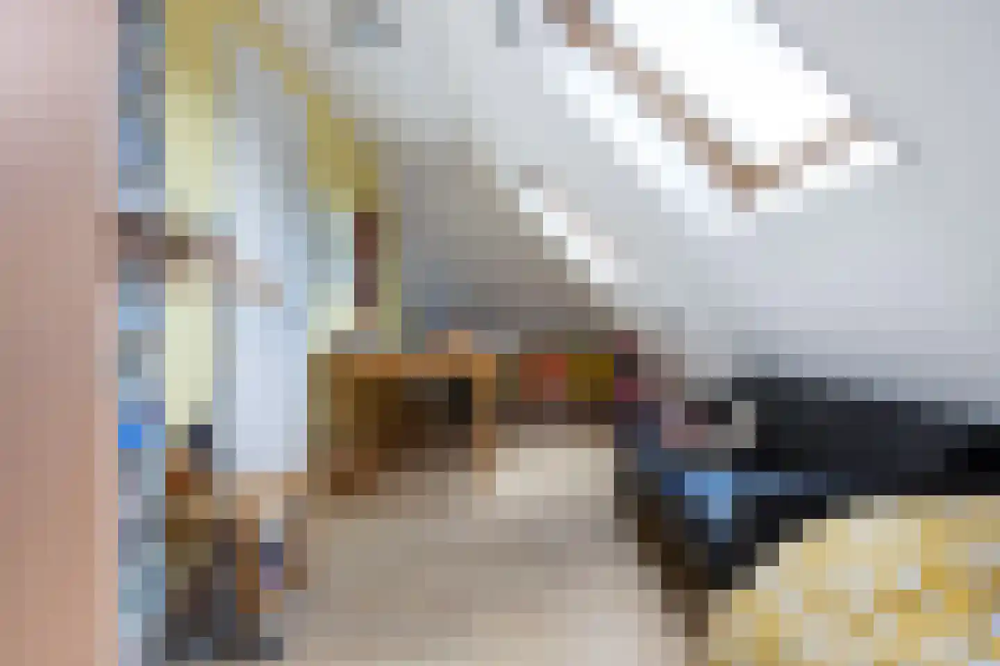 Joop Schweitzerstrjitte 28 Elahuizen thumbnail 31