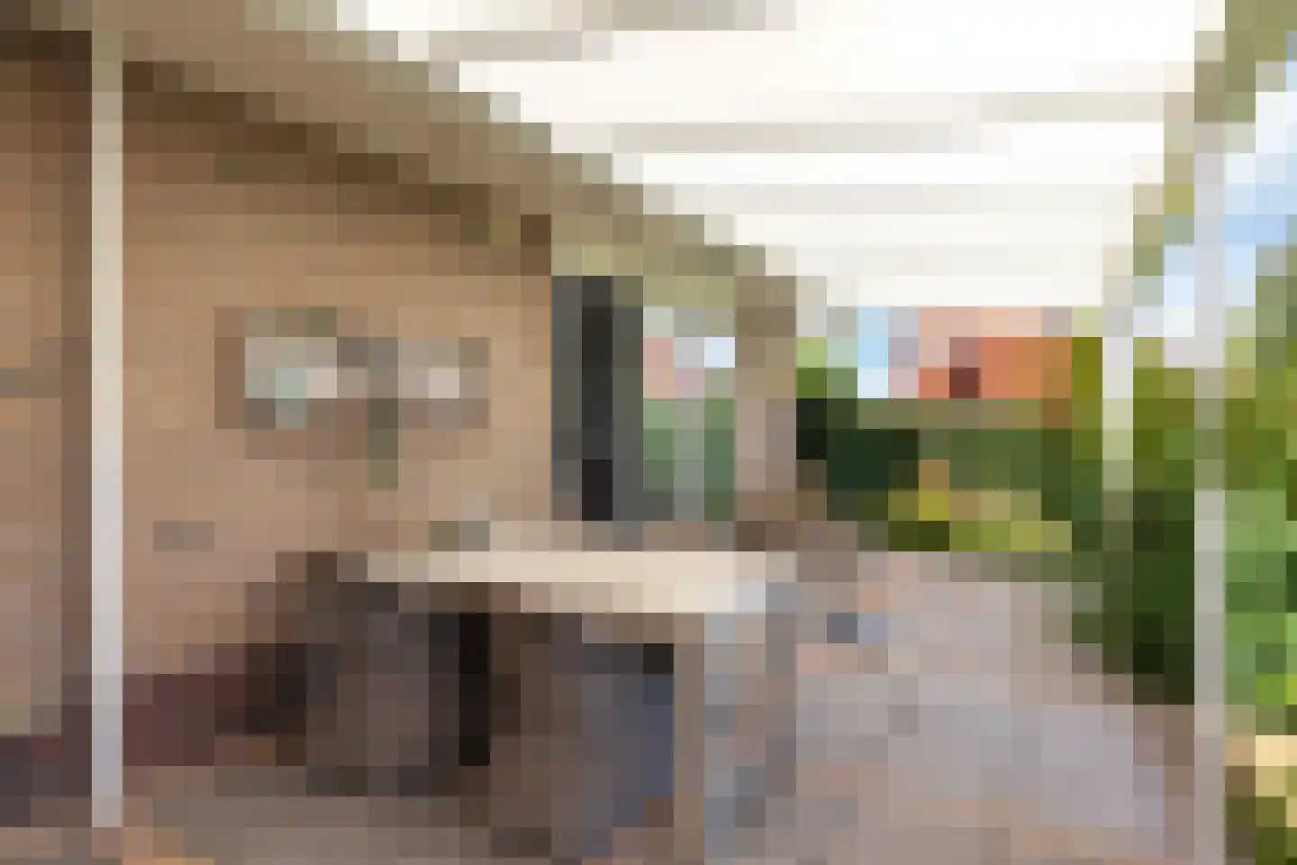 Joop Schweitzerstrjitte 28 Elahuizen thumbnail 34