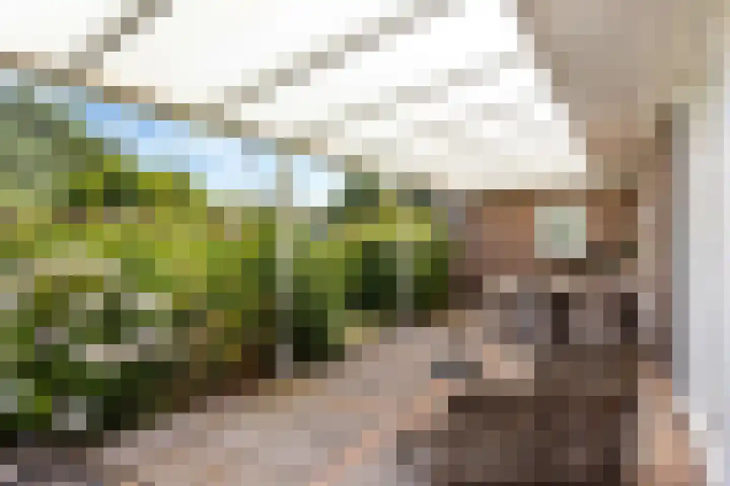 Joop Schweitzerstrjitte 28 Elahuizen thumbnail 35