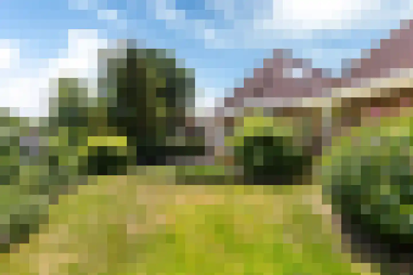 Joop Schweitzerstrjitte 28 Elahuizen thumbnail 37