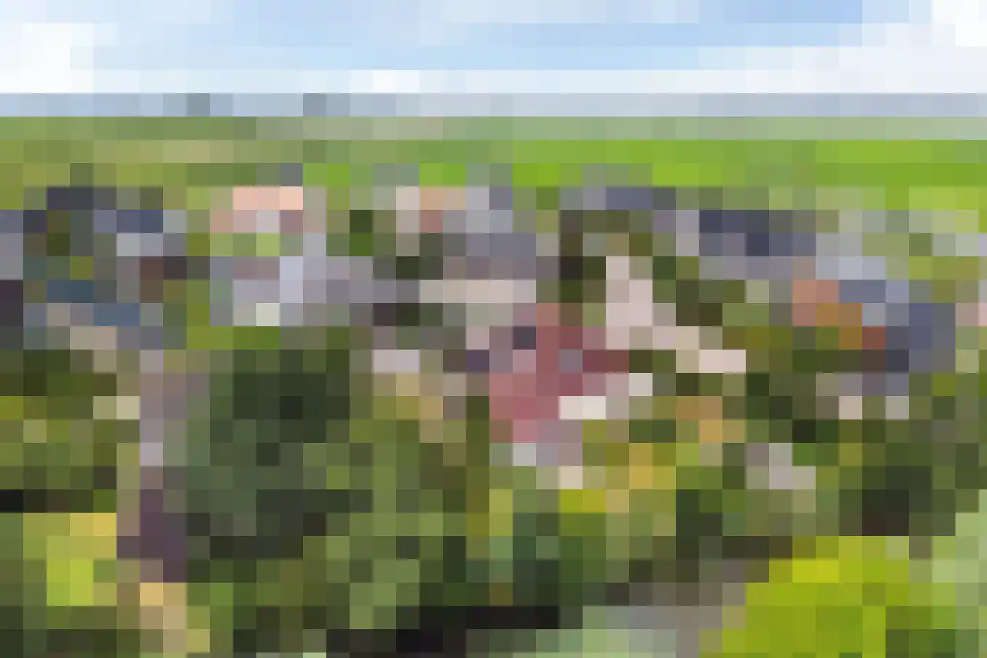 Joop Schweitzerstrjitte 28 Elahuizen thumbnail 45