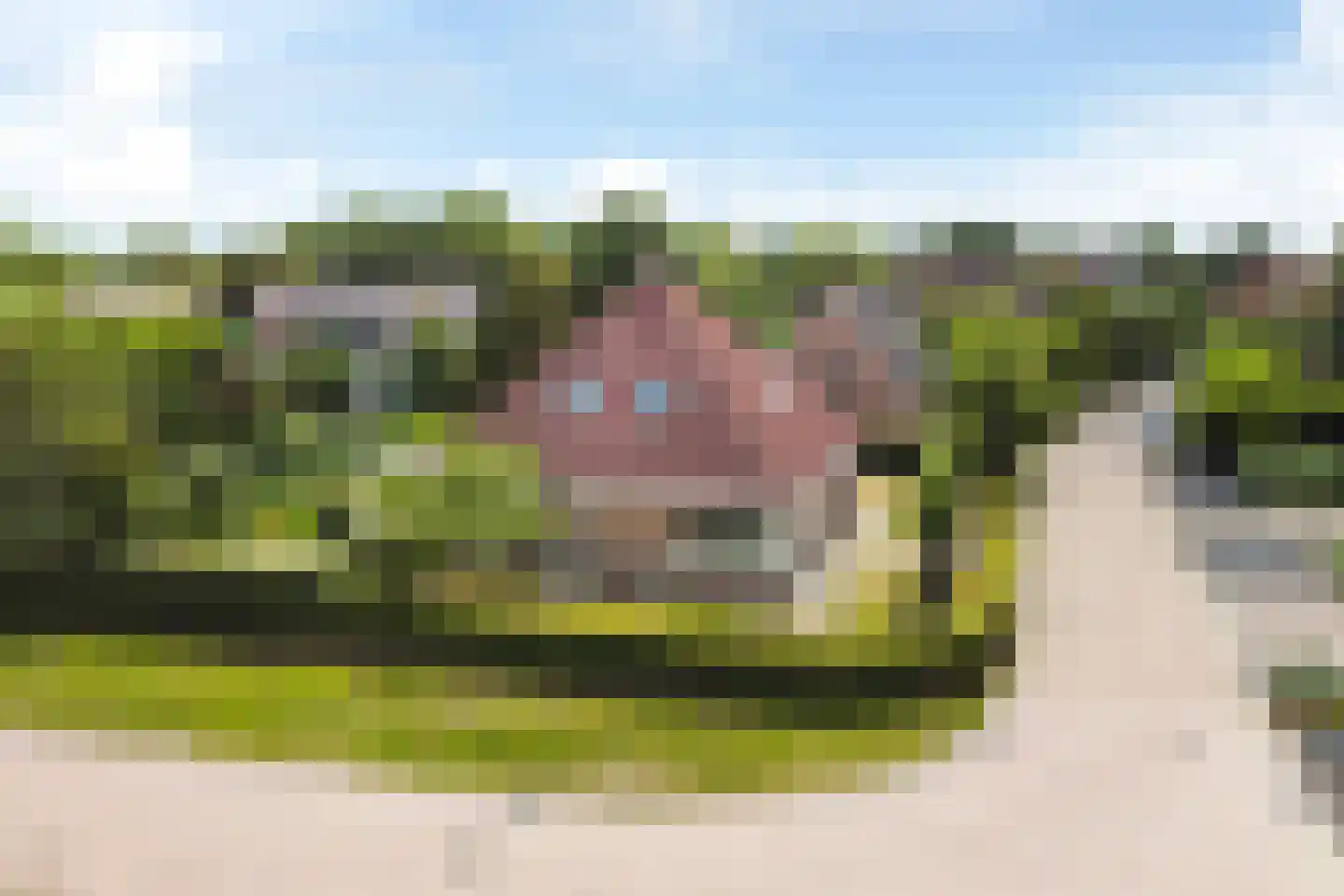 Joop Schweitzerstrjitte 28 Elahuizen thumbnail 49