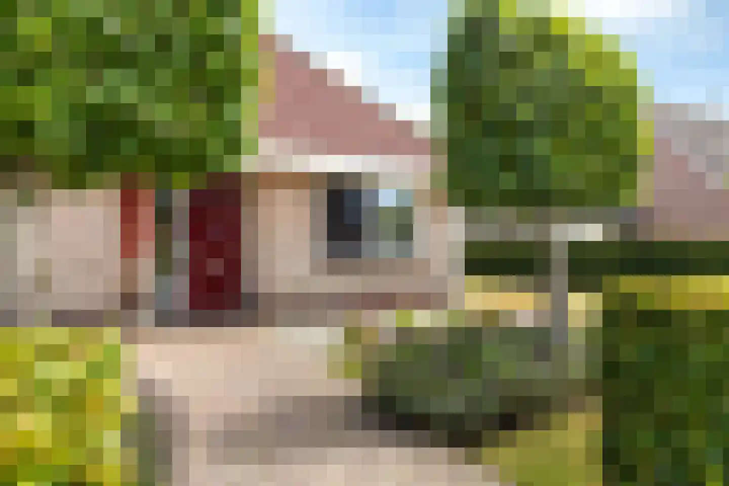 Joop Schweitzerstrjitte 28 Elahuizen thumbnail 5