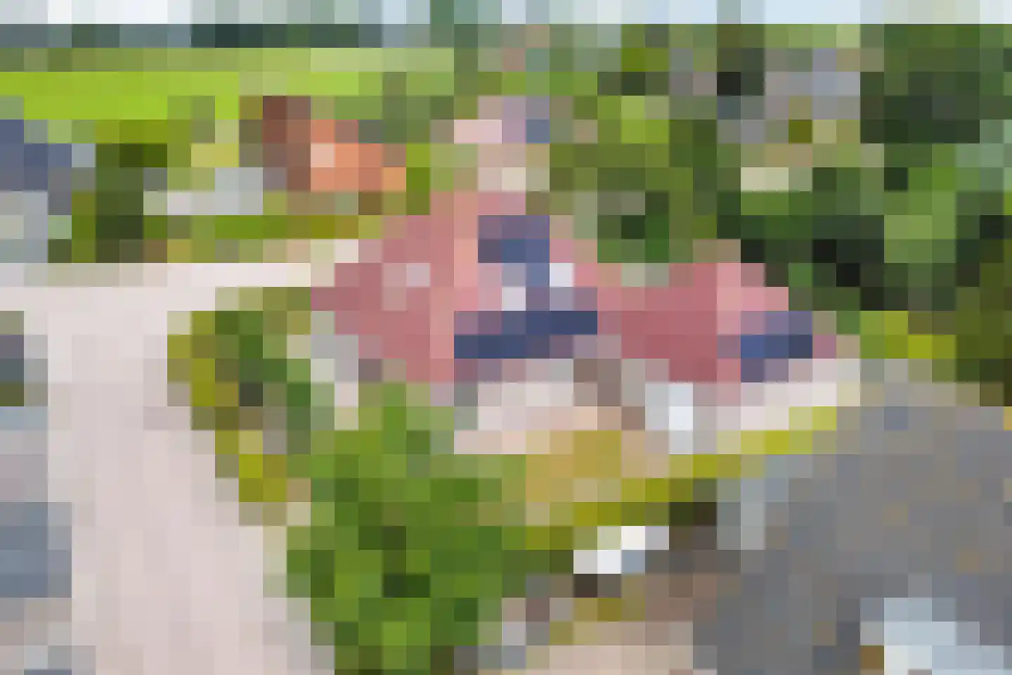 Joop Schweitzerstrjitte 28 Elahuizen thumbnail 50