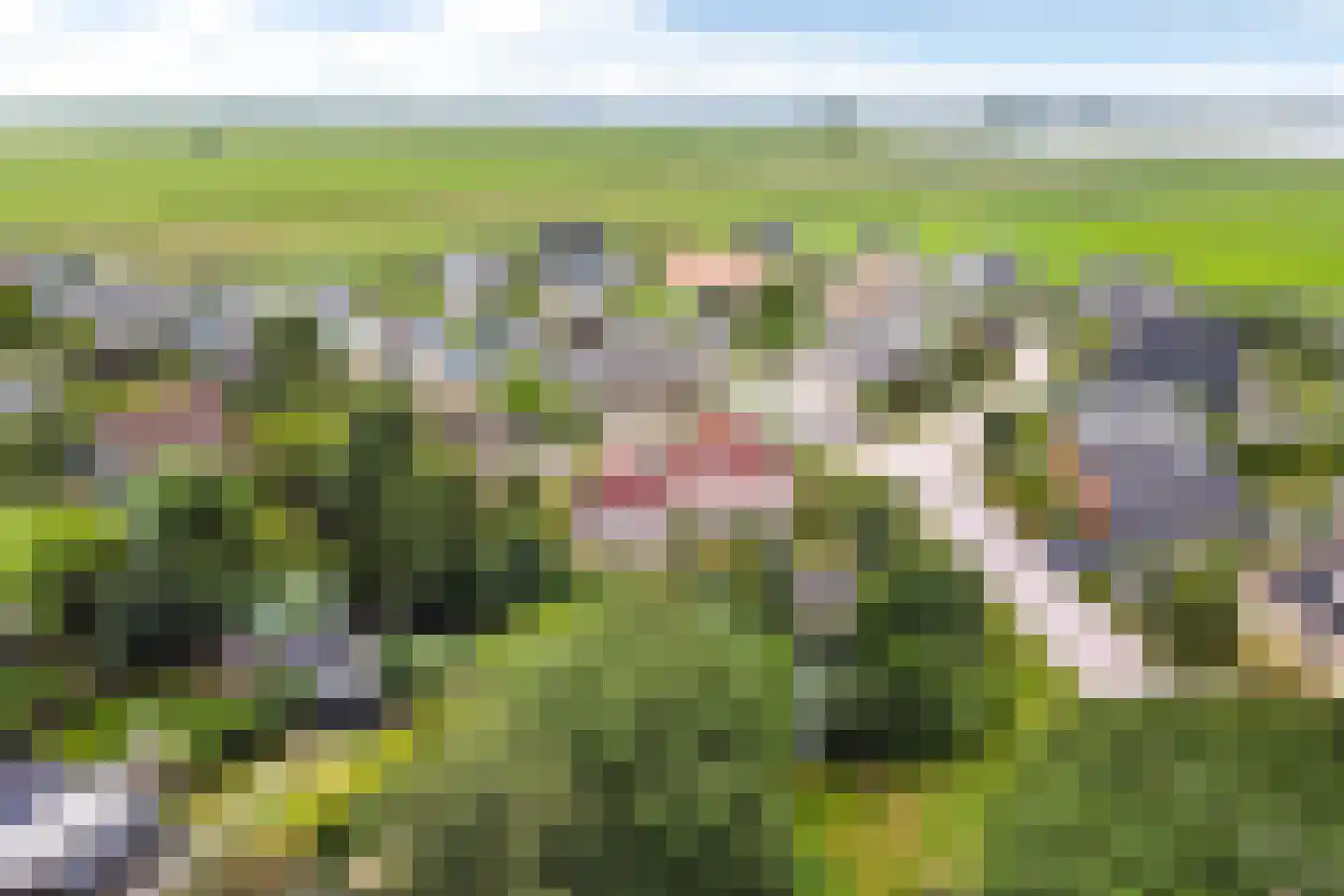 Joop Schweitzerstrjitte 28 Elahuizen thumbnail 51