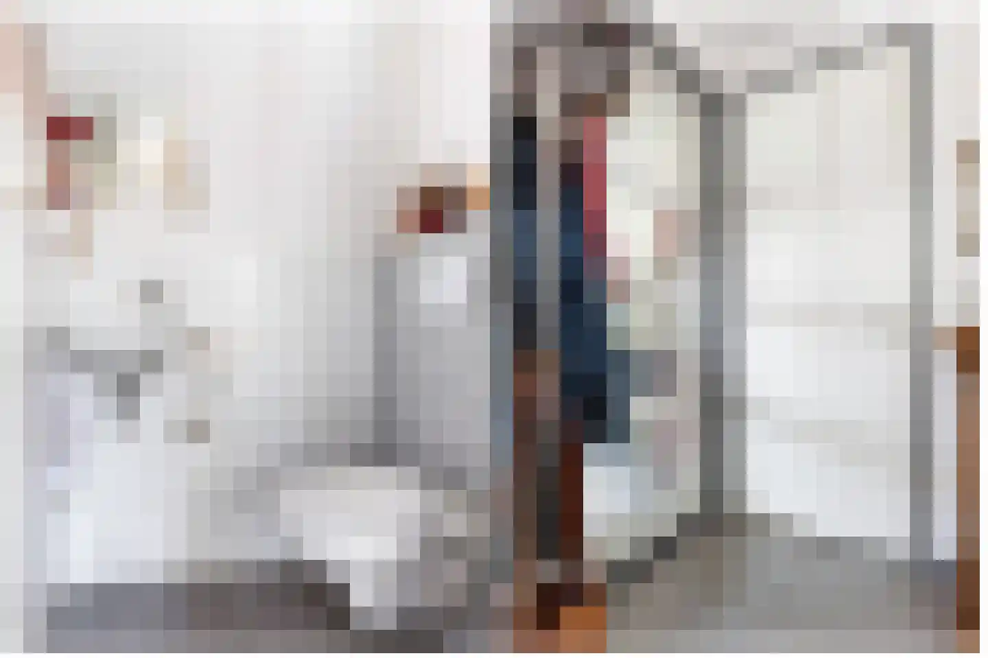 Joop Schweitzerstrjitte 28 Elahuizen thumbnail 8