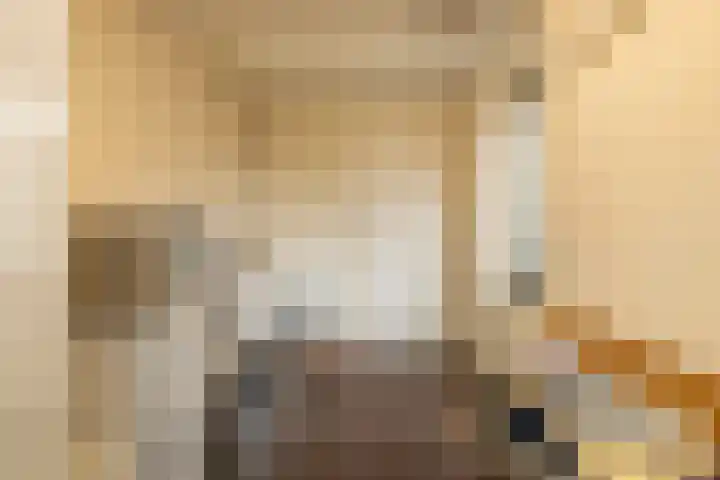 Joop Schweitzerstrjitte 6 Elahuizen thumbnail 11