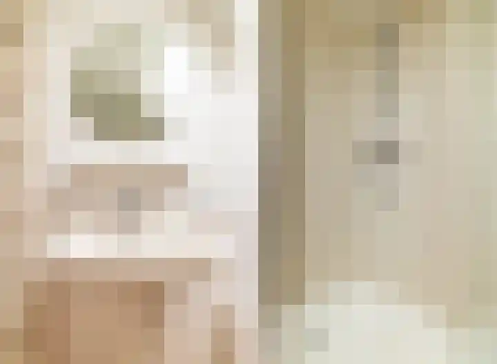 Joop Schweitzerstrjitte 6 Elahuizen thumbnail 13