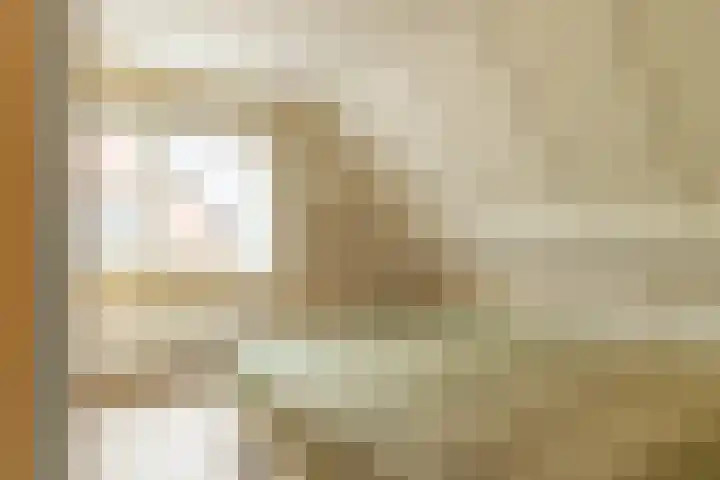 Joop Schweitzerstrjitte 6 Elahuizen thumbnail 15