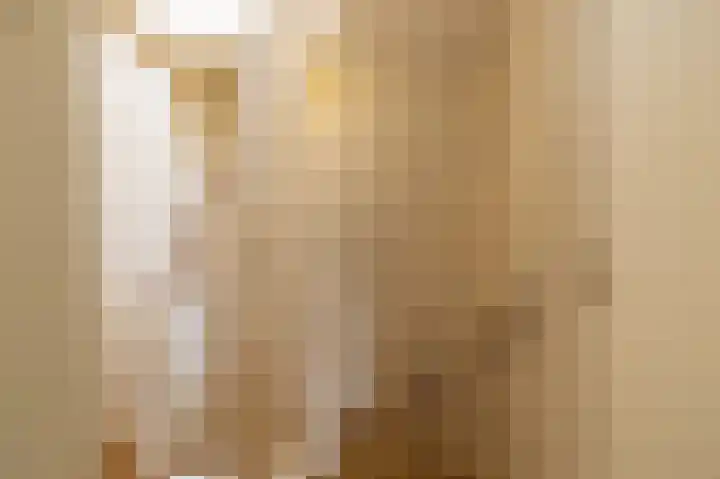 Joop Schweitzerstrjitte 6 Elahuizen thumbnail 21