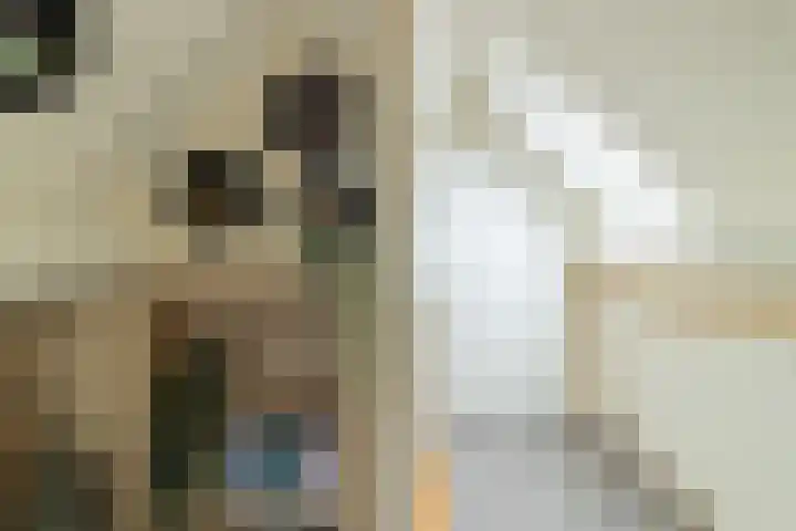 Joop Schweitzerstrjitte 6 Elahuizen thumbnail 23