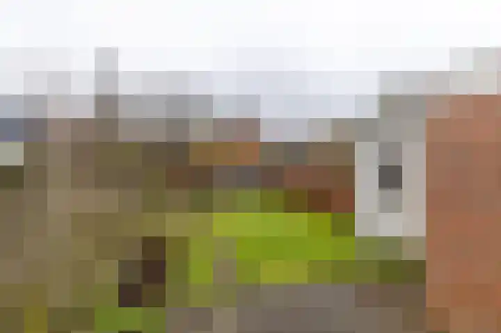 Joop Schweitzerstrjitte 6 Elahuizen thumbnail 25