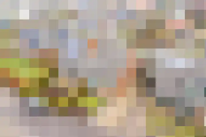 Joop Schweitzerstrjitte 6 Elahuizen thumbnail 28