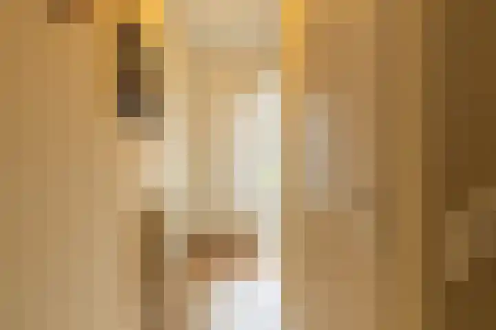 Joop Schweitzerstrjitte 6 Elahuizen thumbnail 4