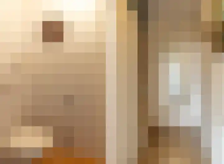 Joop Schweitzerstrjitte 6 Elahuizen thumbnail 5