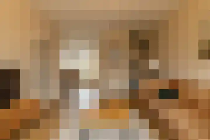 Joop Schweitzerstrjitte 6 Elahuizen thumbnail 7