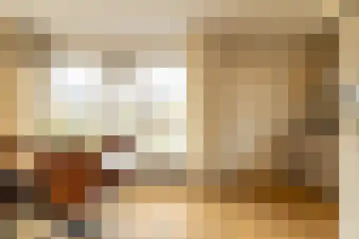 Joop Schweitzerstrjitte 6 Elahuizen thumbnail 9