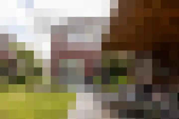 Joop Stokkermansstraat 25 Hilversum thumbnail 13