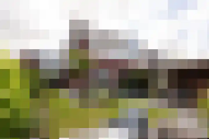 Joop Stokkermansstraat 25 Hilversum thumbnail 14