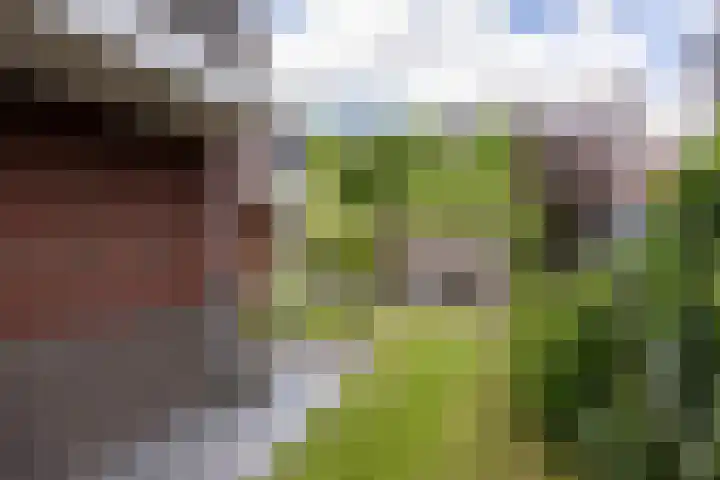 Joop Stokkermansstraat 25 Hilversum thumbnail 40