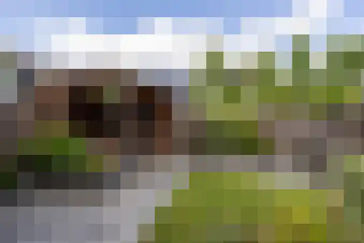 Joop Stokkermansstraat 25 Hilversum thumbnail 9