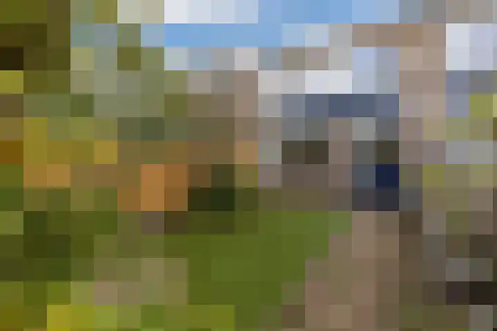 Joop Westerweelpad 18 Hoogvliet Rotterdam thumbnail 18