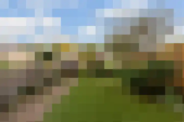Joop Westerweelpad 18 Hoogvliet Rotterdam thumbnail 20