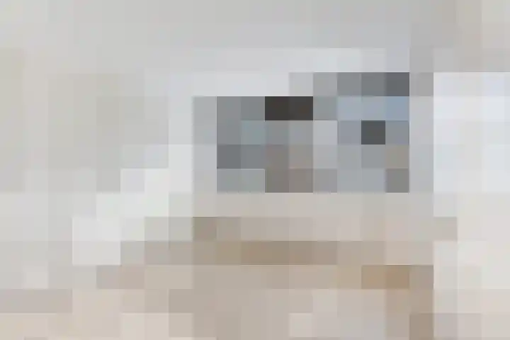 Joop Westerweelpad 18 Hoogvliet Rotterdam thumbnail 6