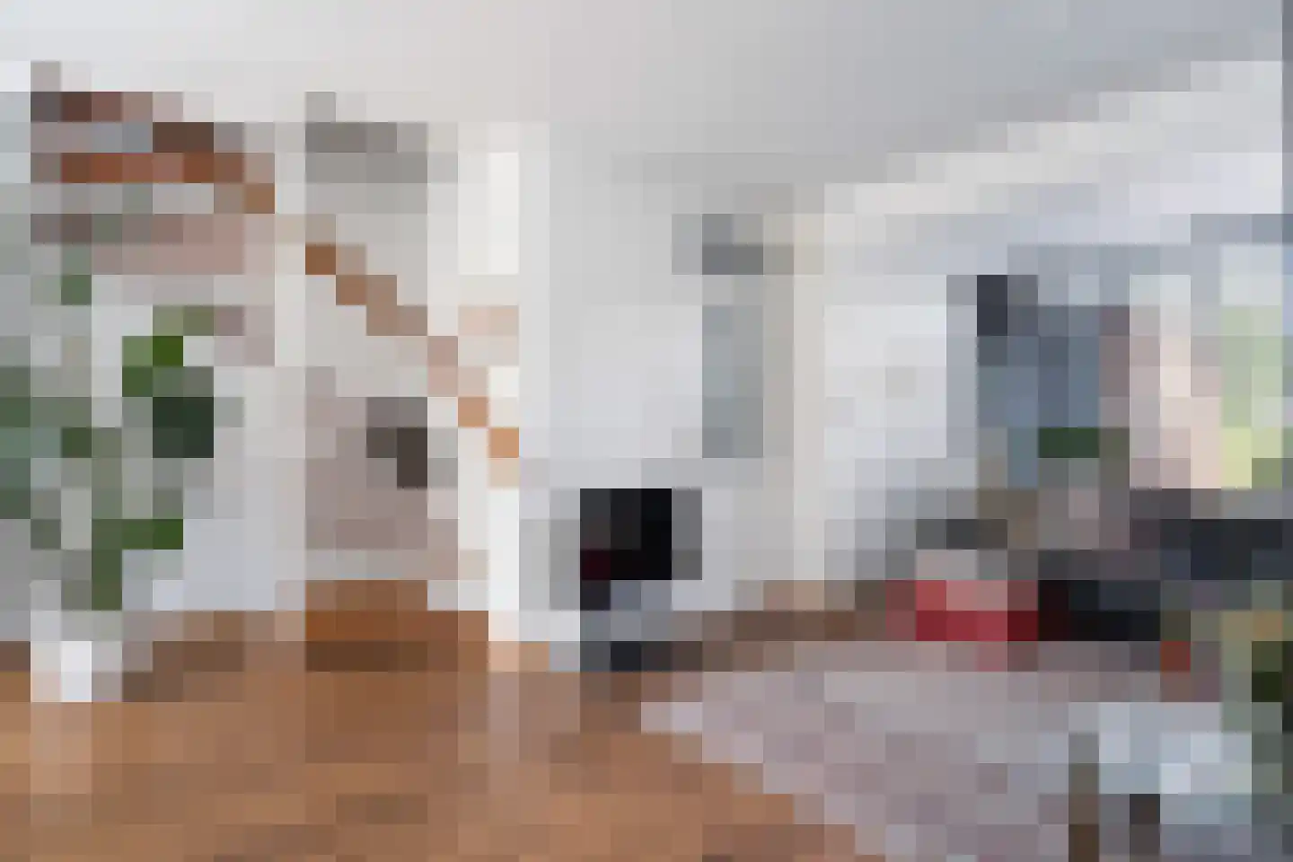 Joop Westerweelstraat 10 Montfoort thumbnail 11
