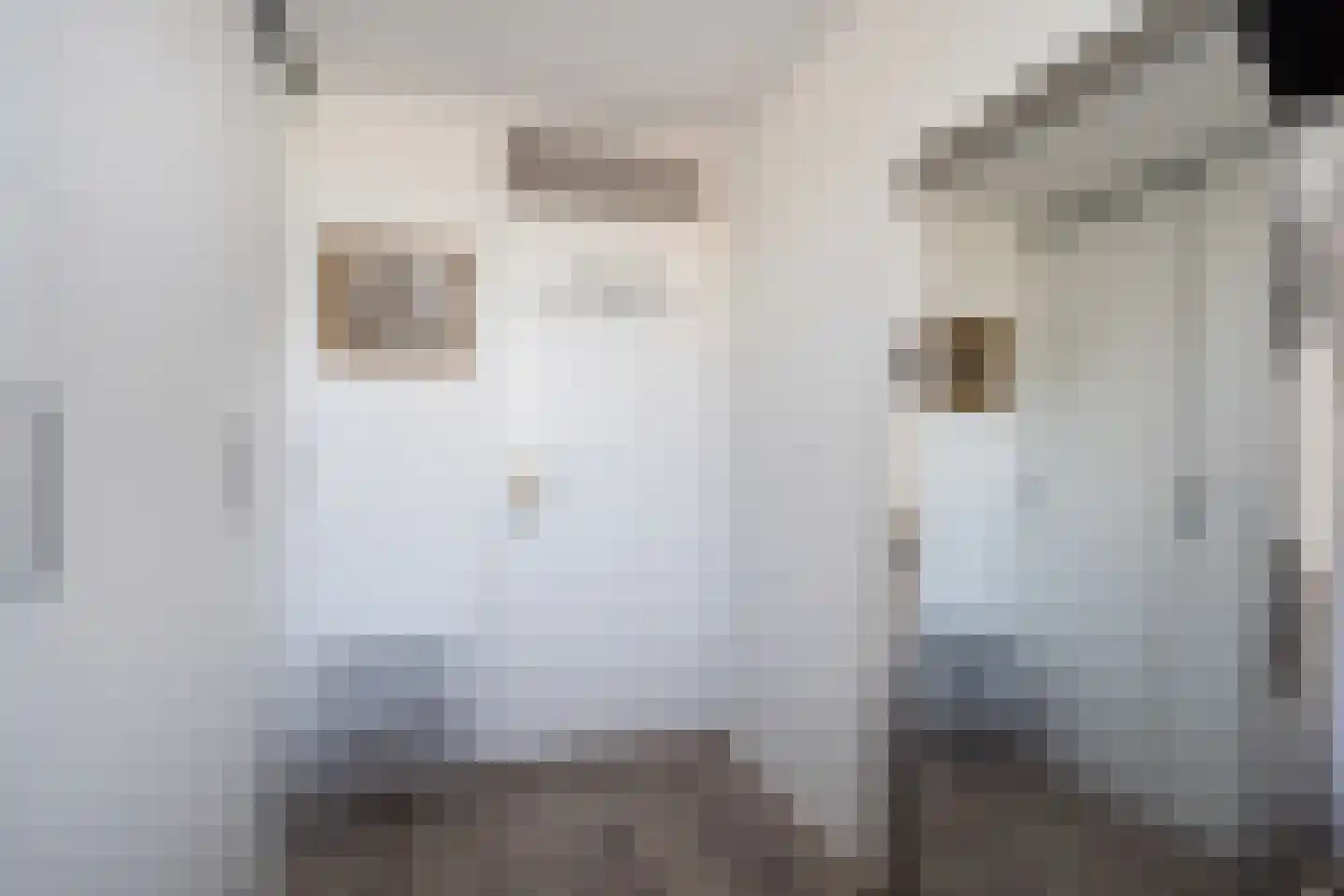 Joop Westerweelstraat 10 Montfoort thumbnail 30