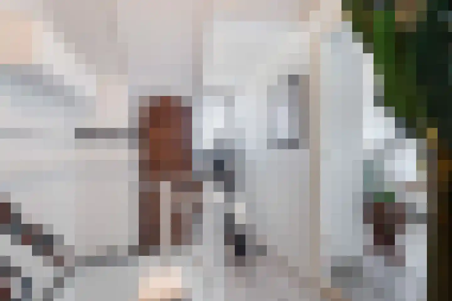 Joop Westerweelstraat 10 Montfoort thumbnail 35