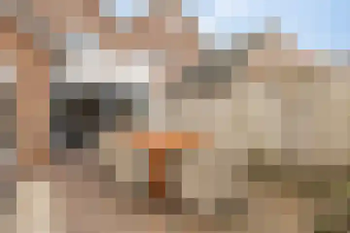 Joop Zoetemelkstraat 19 Oldenzaal thumbnail 32