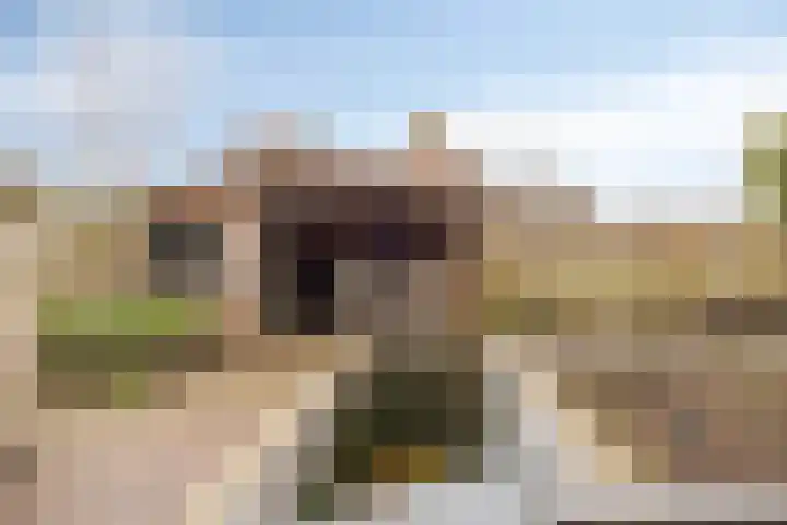 Joop Zoetemelkstraat 19 Oldenzaal thumbnail 33
