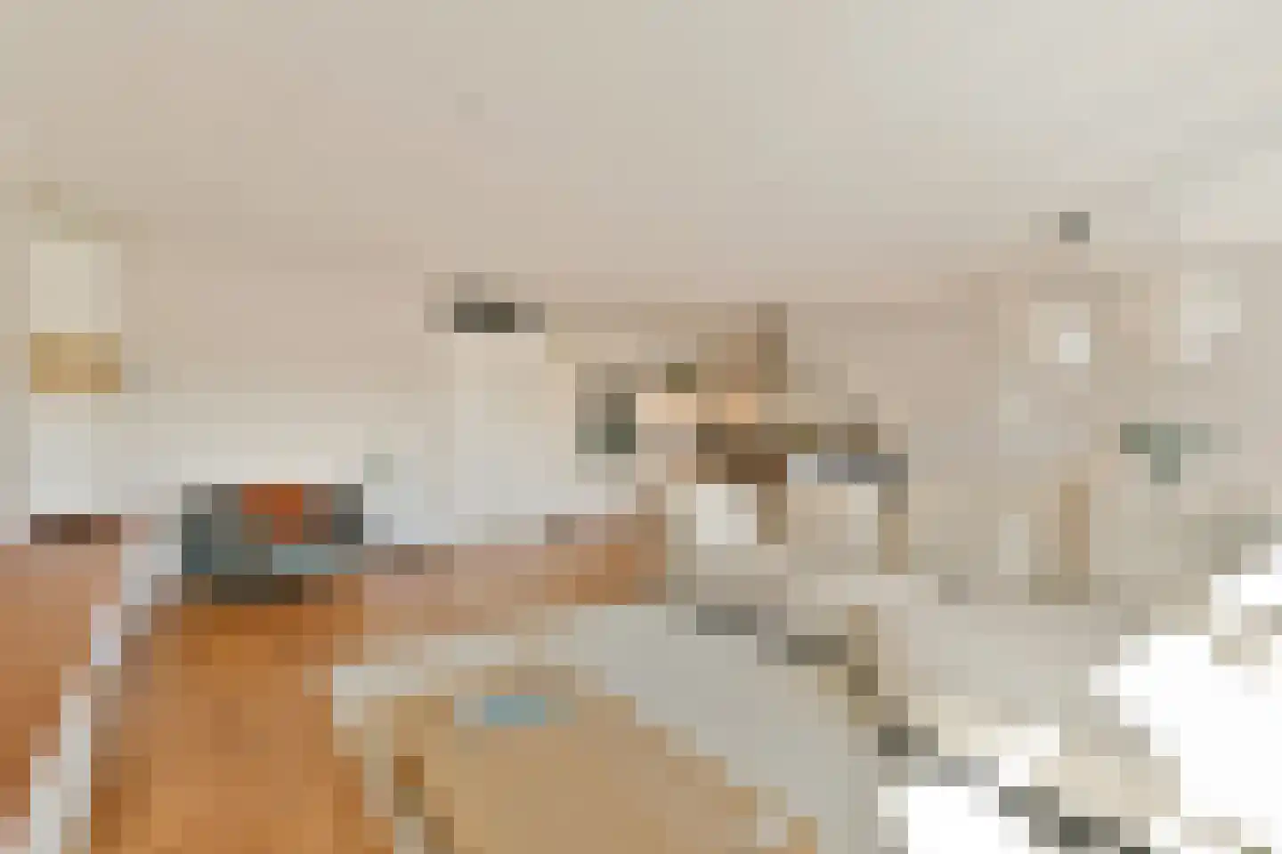Joos Banckersplantsoen 101 Amsterdam thumbnail 10