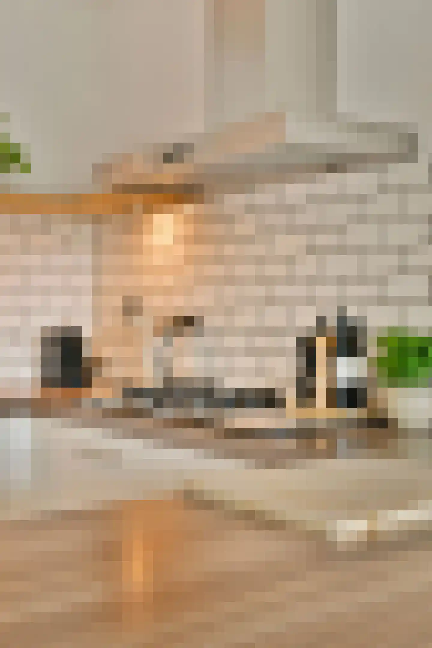 Joos Banckersplantsoen 101 Amsterdam thumbnail 12