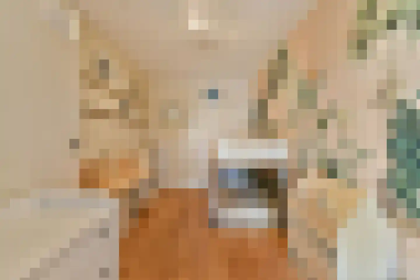 Joos Banckersplantsoen 101 Amsterdam thumbnail 18