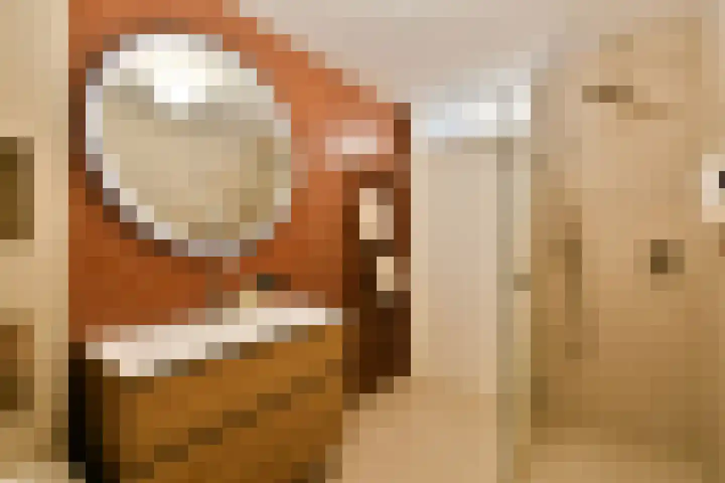 Joos Banckersplantsoen 101 Amsterdam thumbnail 4