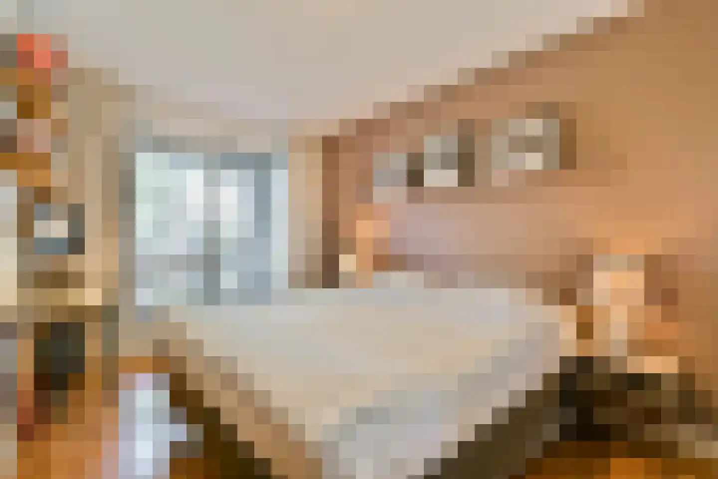 Joos Banckersplantsoen 101 Amsterdam thumbnail 5